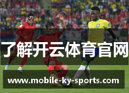 了解开云体育官网